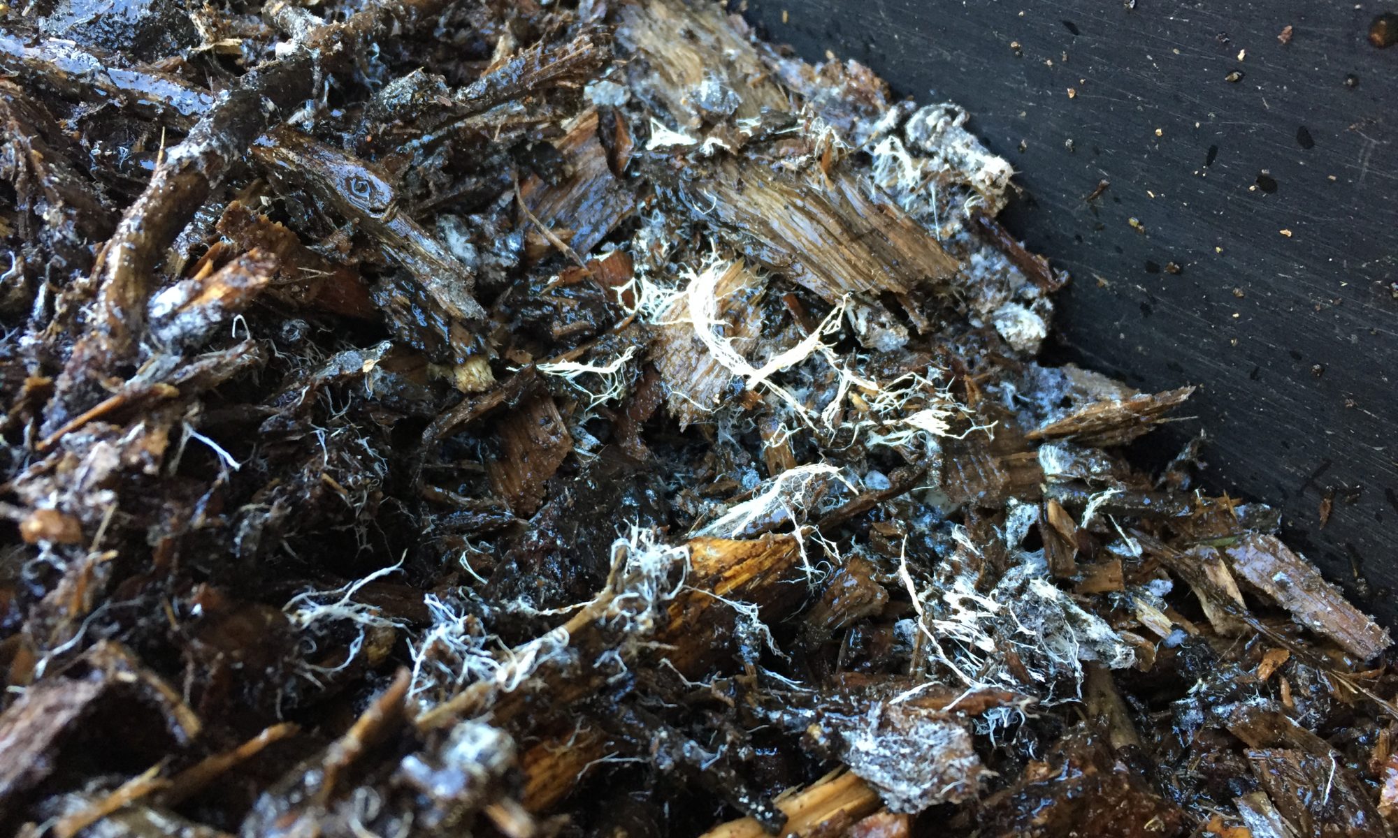 Contact Catalyst BioAmendments