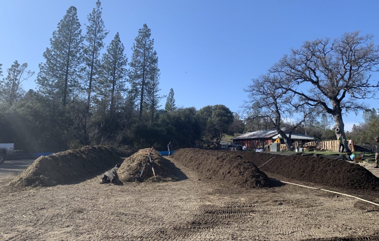 Bulk Compost Catalyst BioAmendments