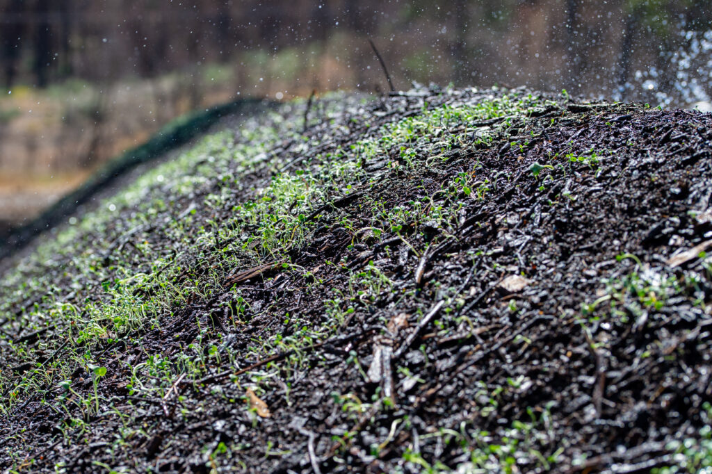 Compost Tea Application Catalyst BioAmendments